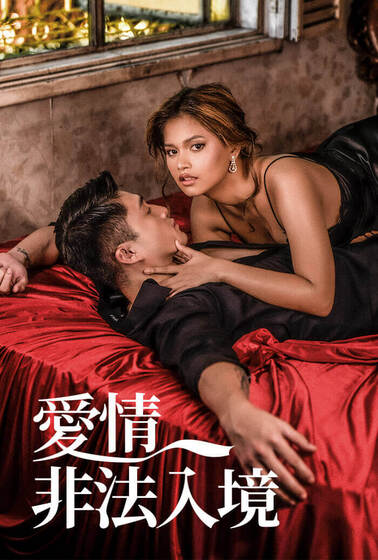 愛情非法入境