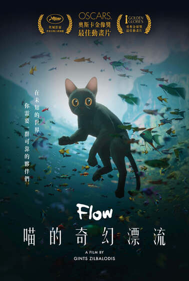 喵的奇幻漂流