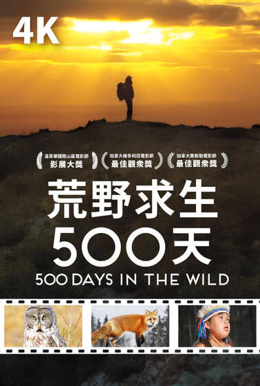 荒野求生500天【4K】