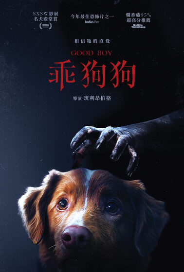 乖狗狗