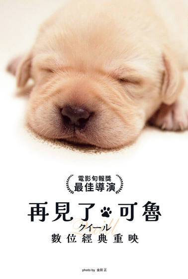 再見了，可魯