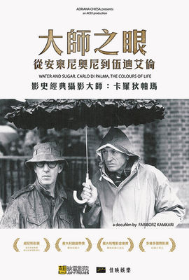 大師之眼：從安東尼奧尼到伍迪艾倫