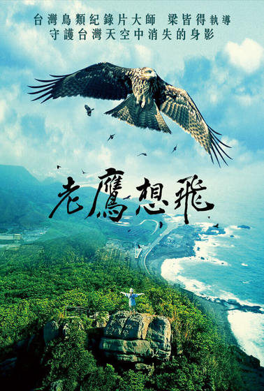 老鷹想飛