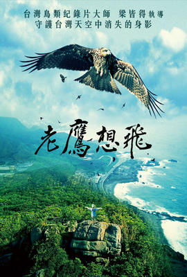 老鷹想飛