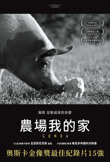 農場我的家