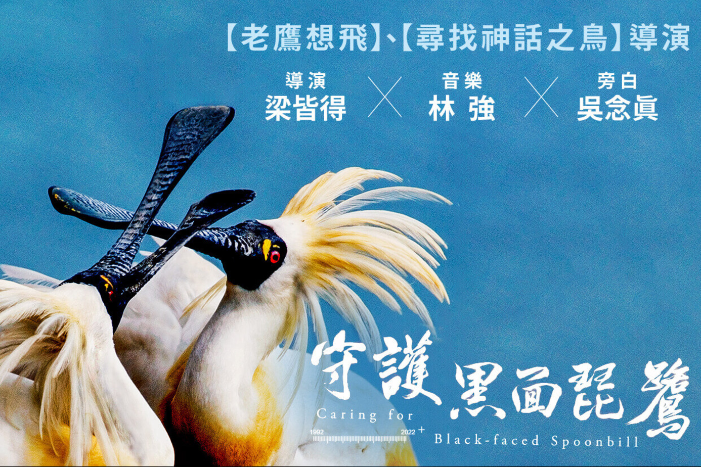 守護黑面琵鷺
