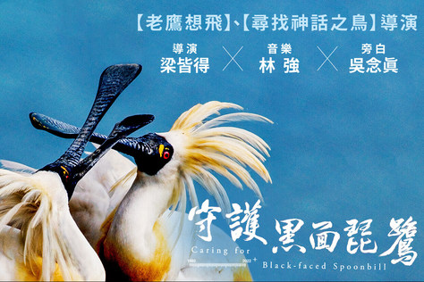 守護黑面琵鷺
