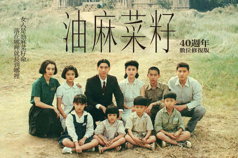 油麻菜籽