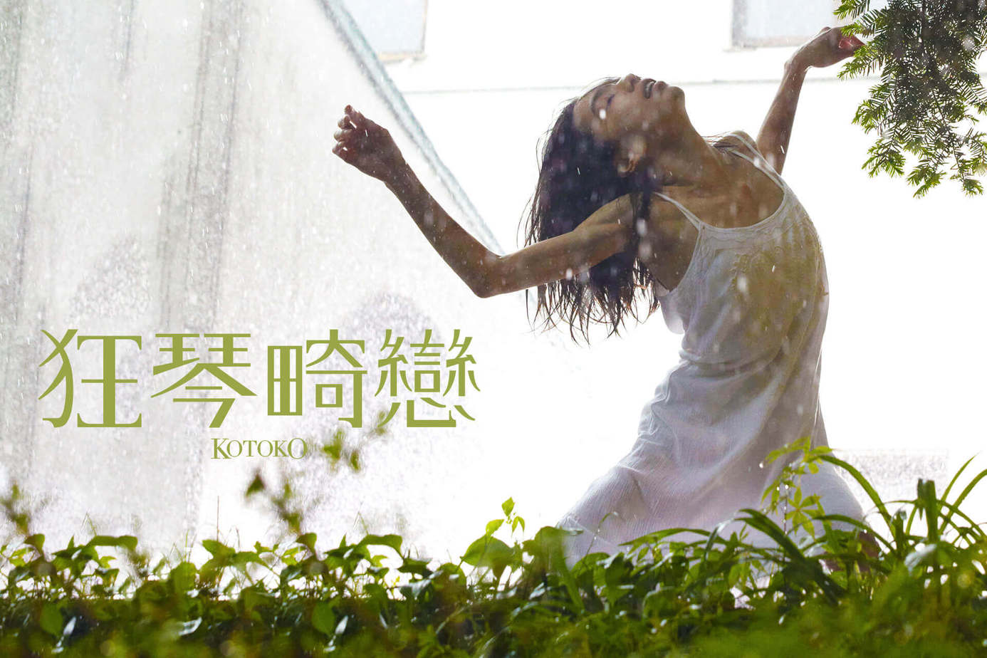 狂琴畸戀