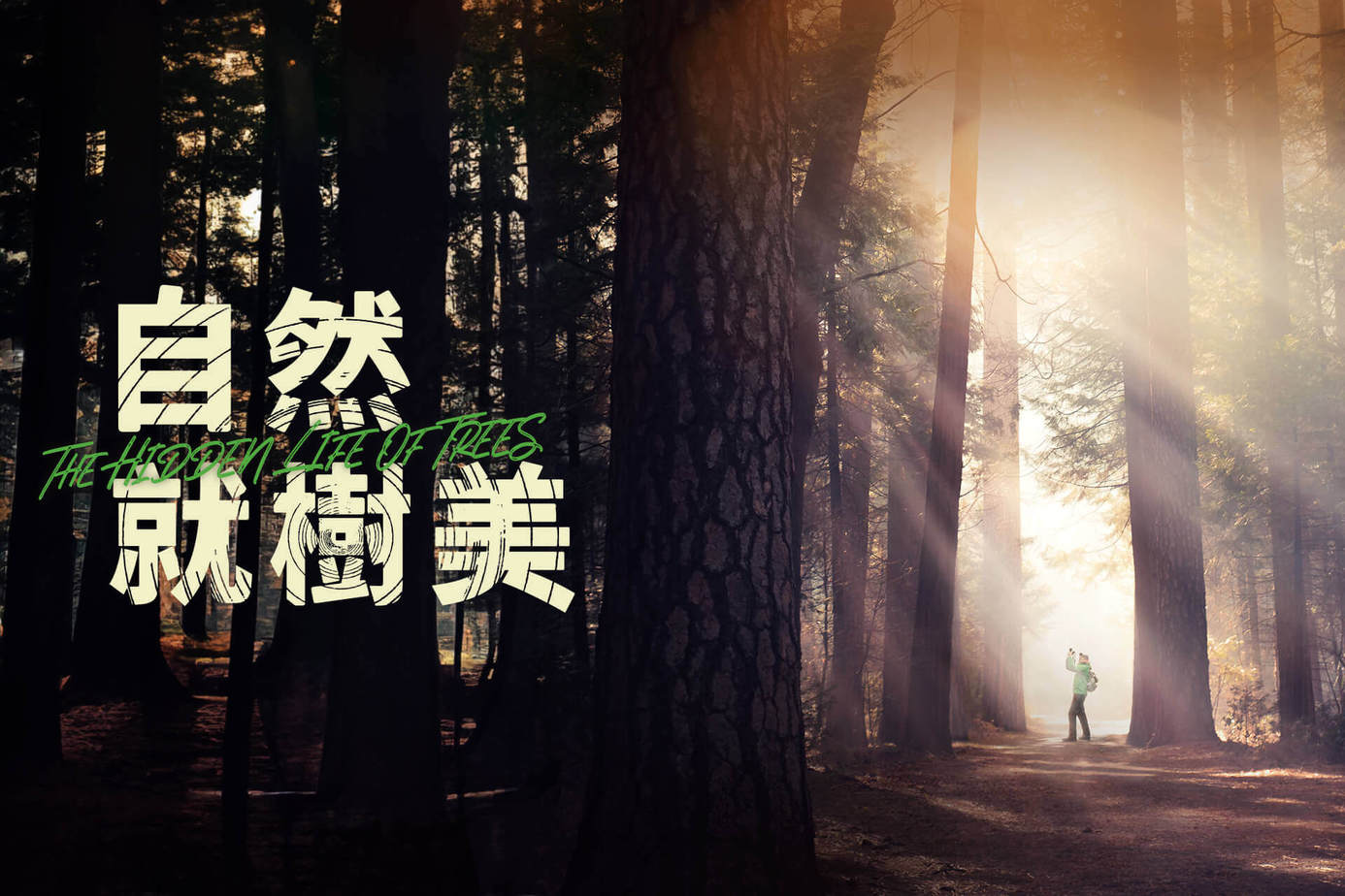 自然就樹美