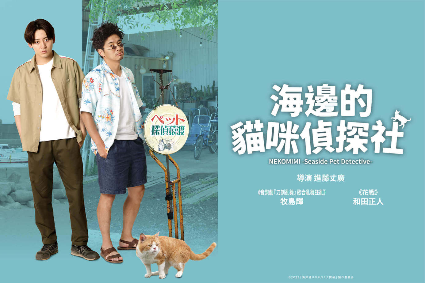 海邊的貓咪偵探社