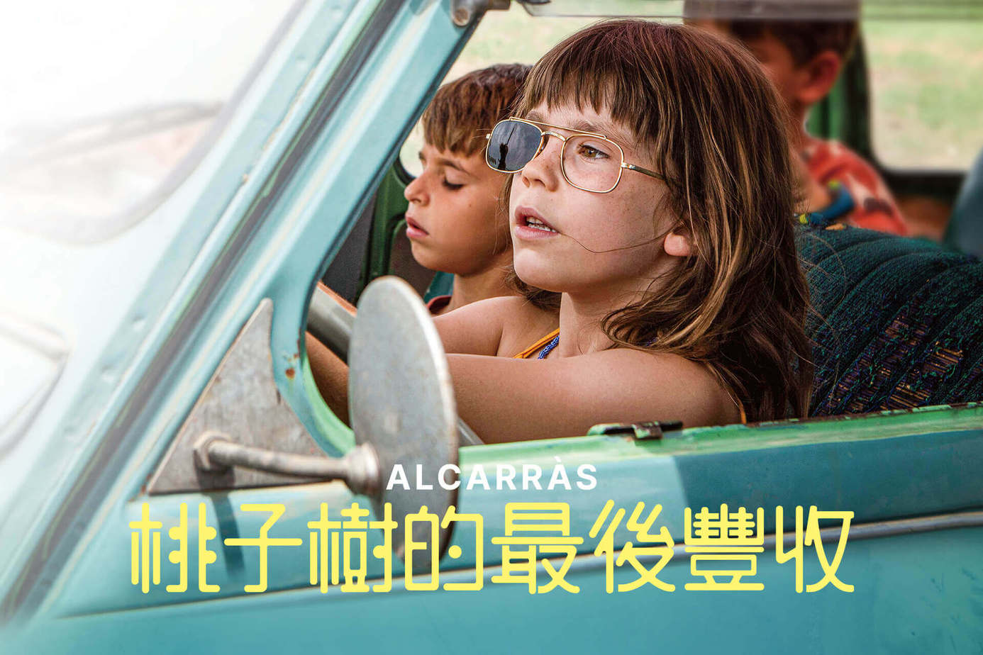 桃子樹的最後豐收