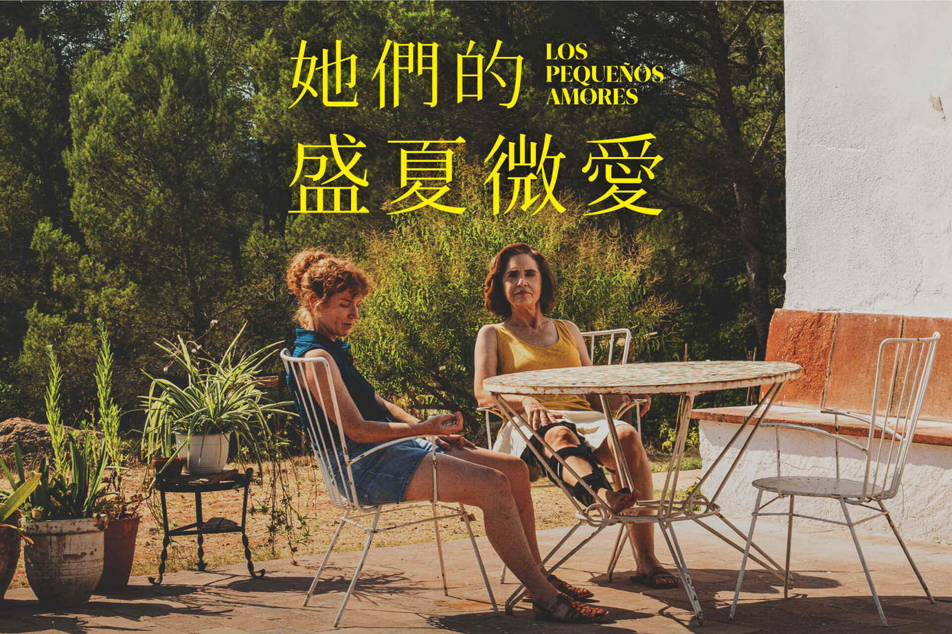 她們的盛夏微愛