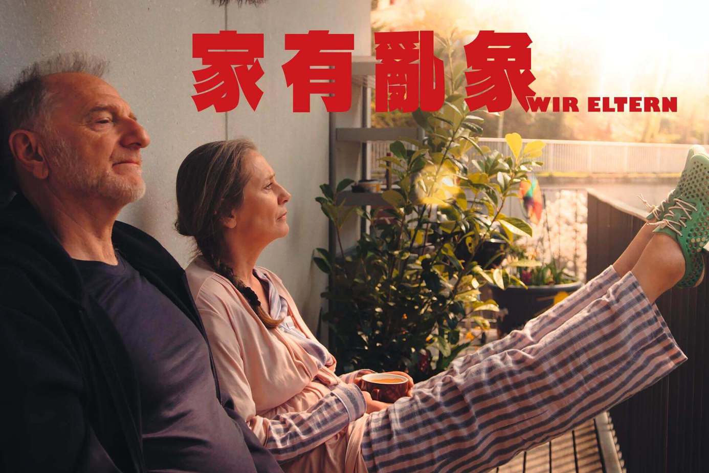 家有亂象