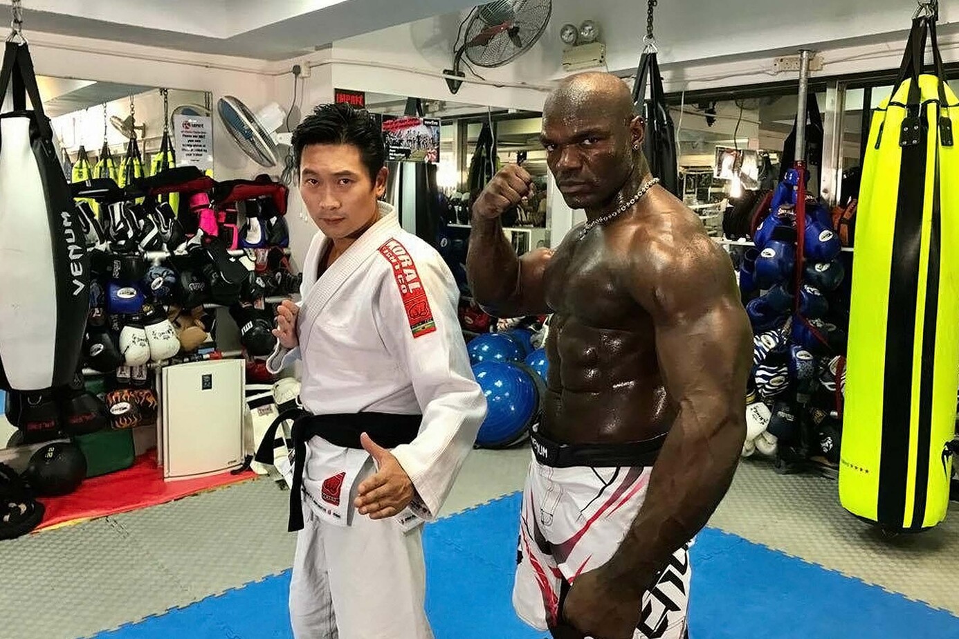 金袍拳王