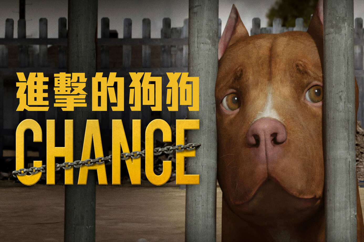 進擊的狗狗