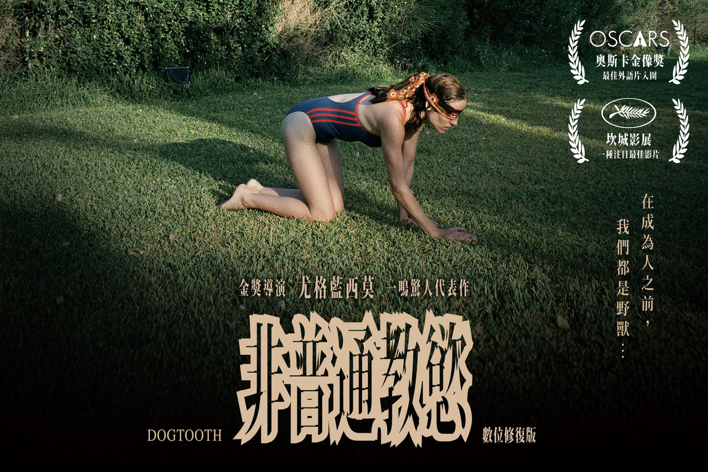 非普通教慾