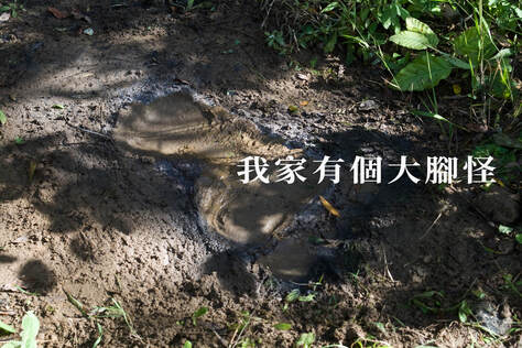 我家有個大腳怪