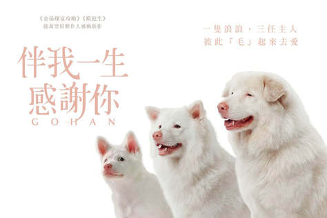 伴我一生，感謝你