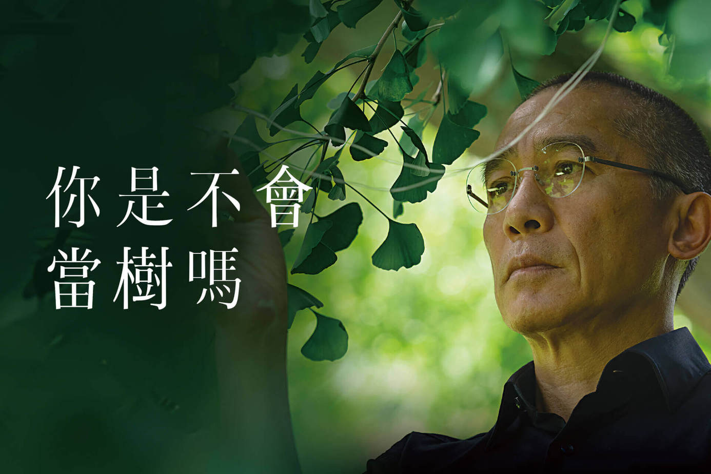你是不會當樹嗎