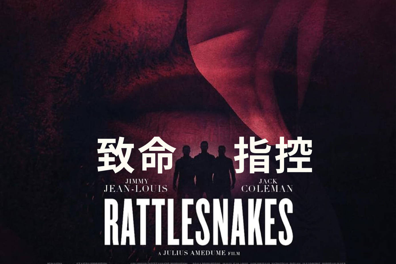 致命指控
