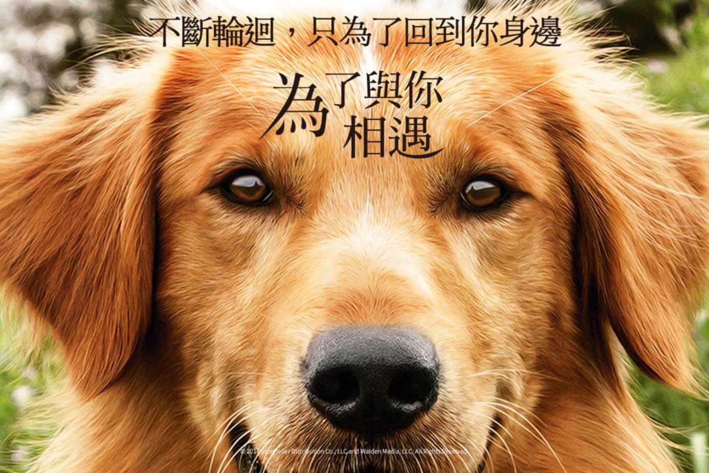 為了與你相遇