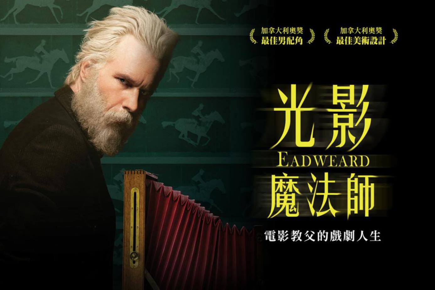 光影魔法師