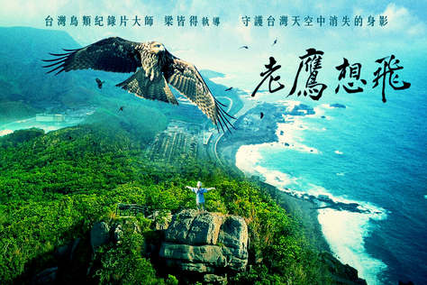 老鷹想飛