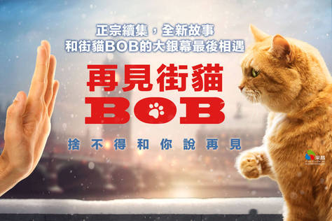 再見街貓BOB