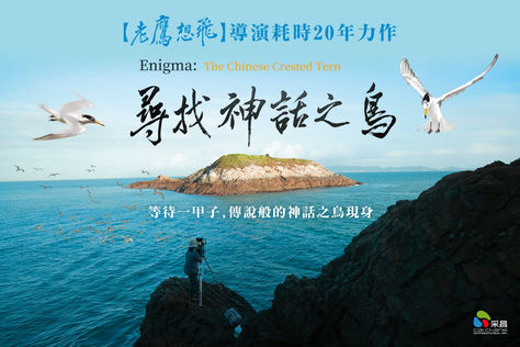 尋找神話之鳥